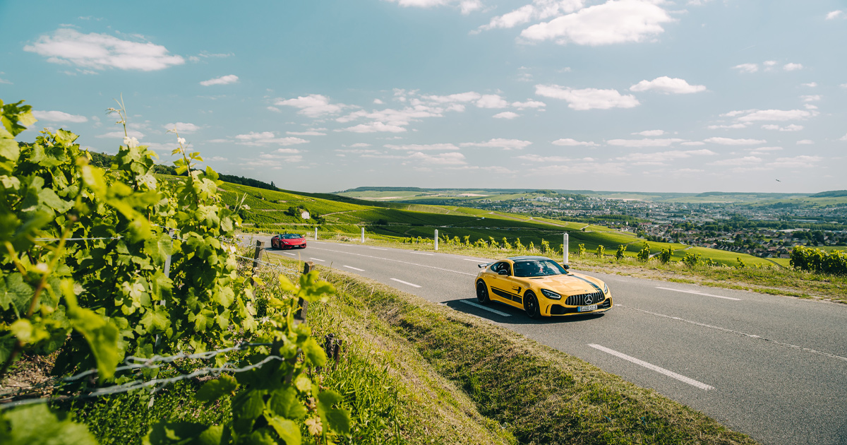 Beyond Bordeaux: Exploring Lesser-Known French Wine Regions