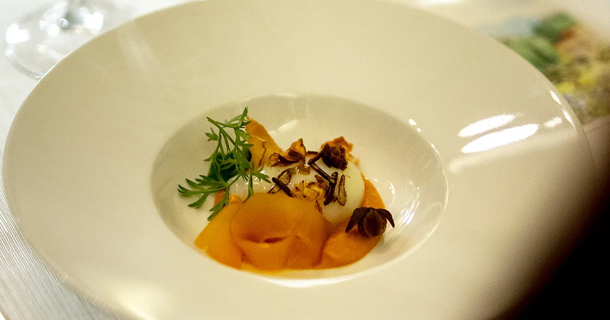 Michelin Star History: Discovering the Iconic Culinary Guide