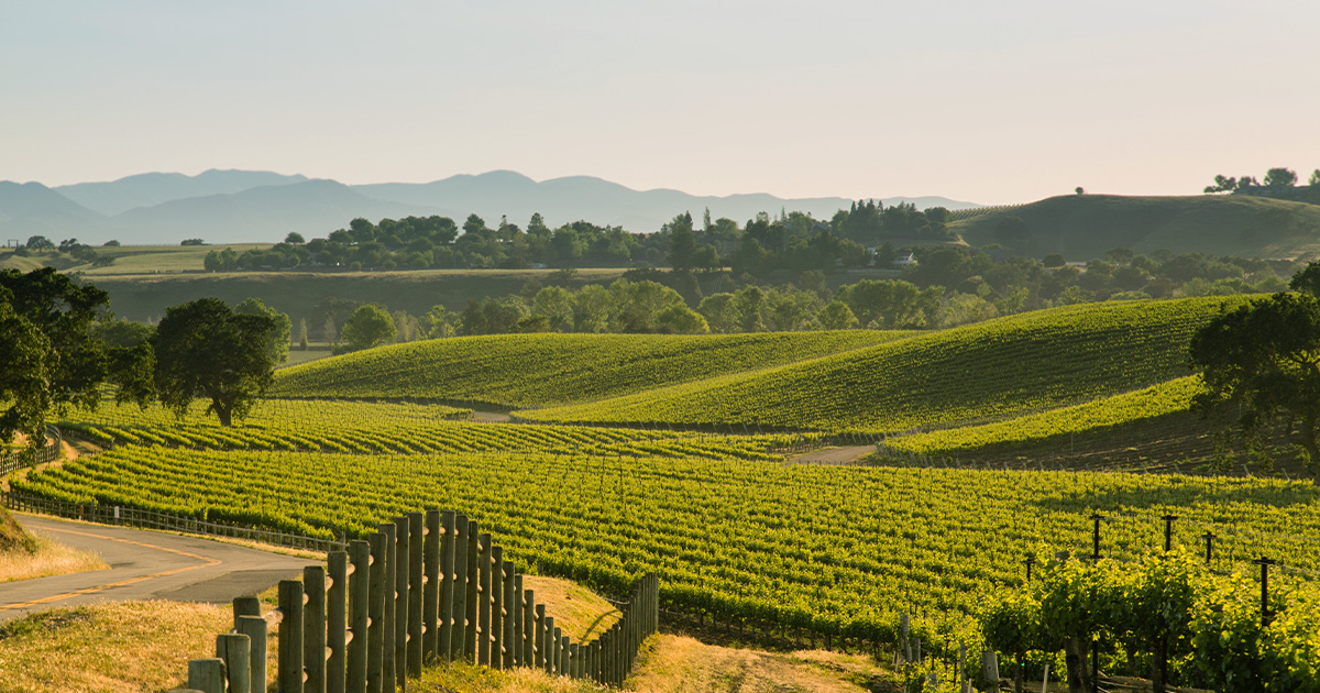 Santa Ynez Valley Corporate Incentive