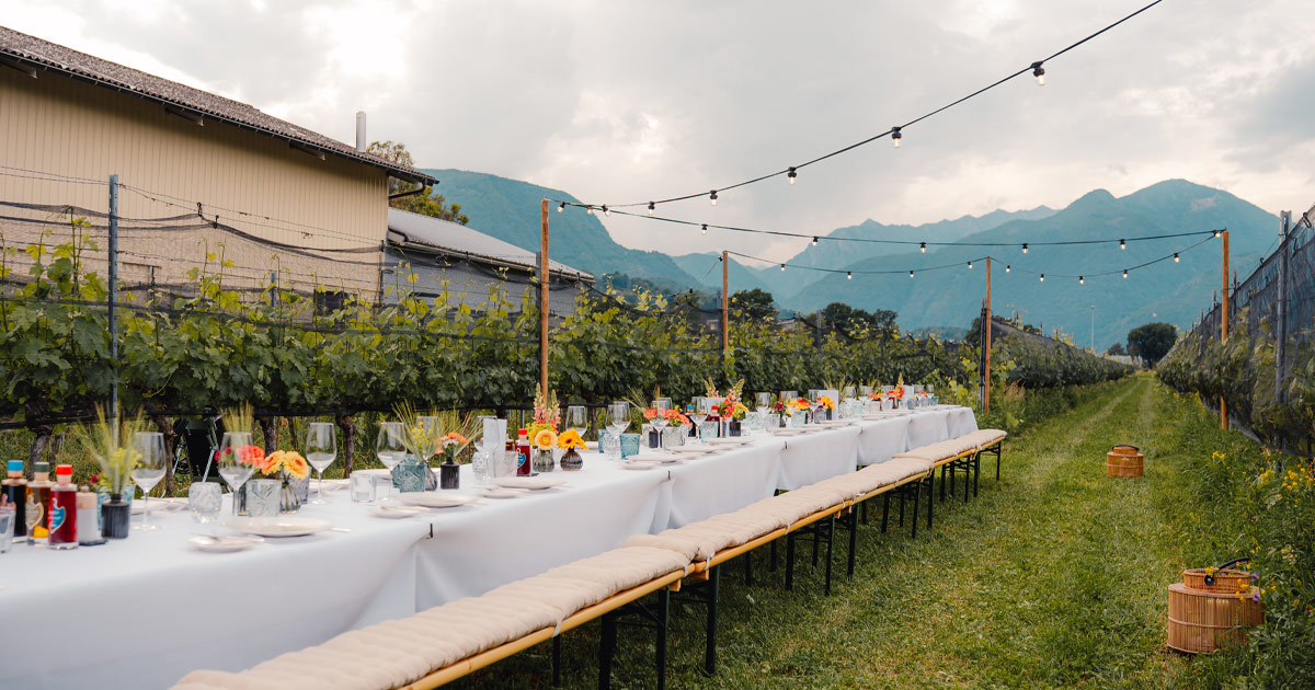 The Art of Culinary Tour Curation: Achieving Balance Between Fine Dining & Relaxed Dining