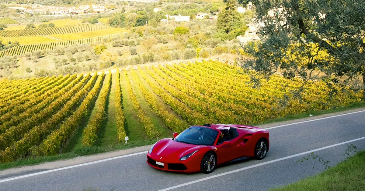20+ of the Best Things To Do in the South of France