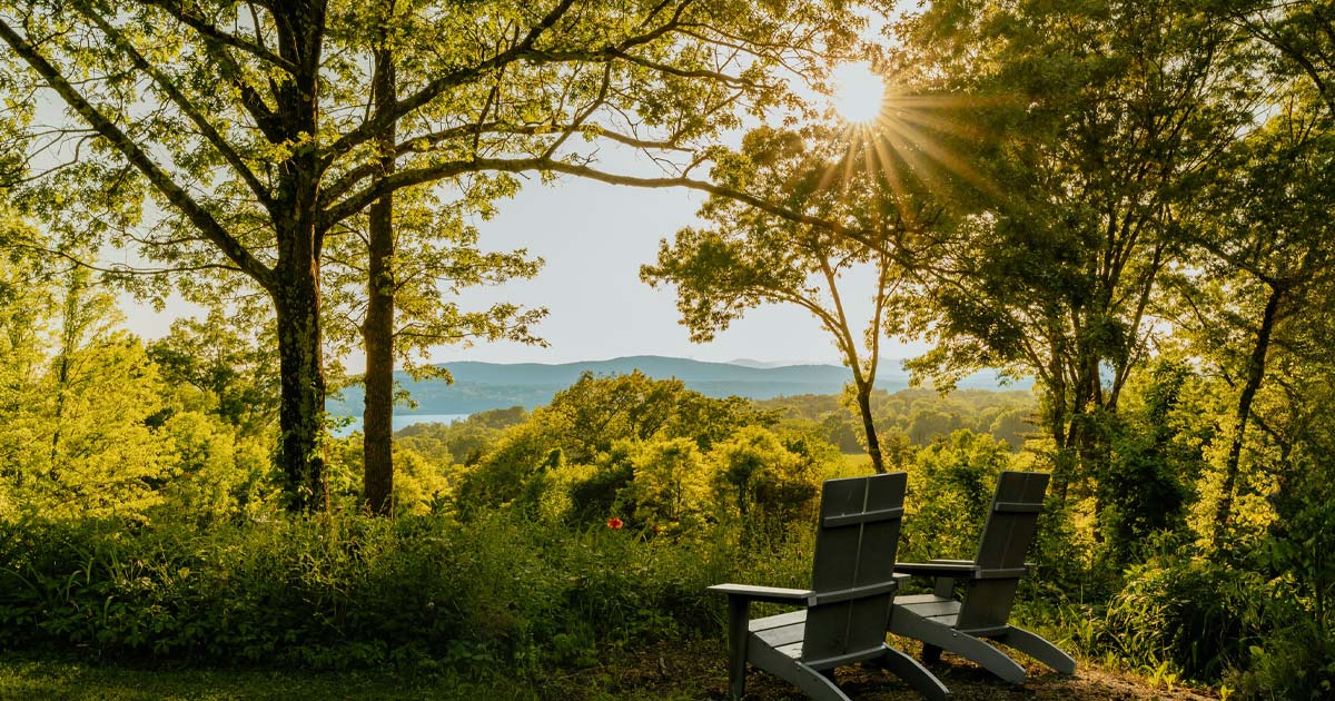 Two chairs sit within a leafy forest on a sunny day in the Hudson Valley
