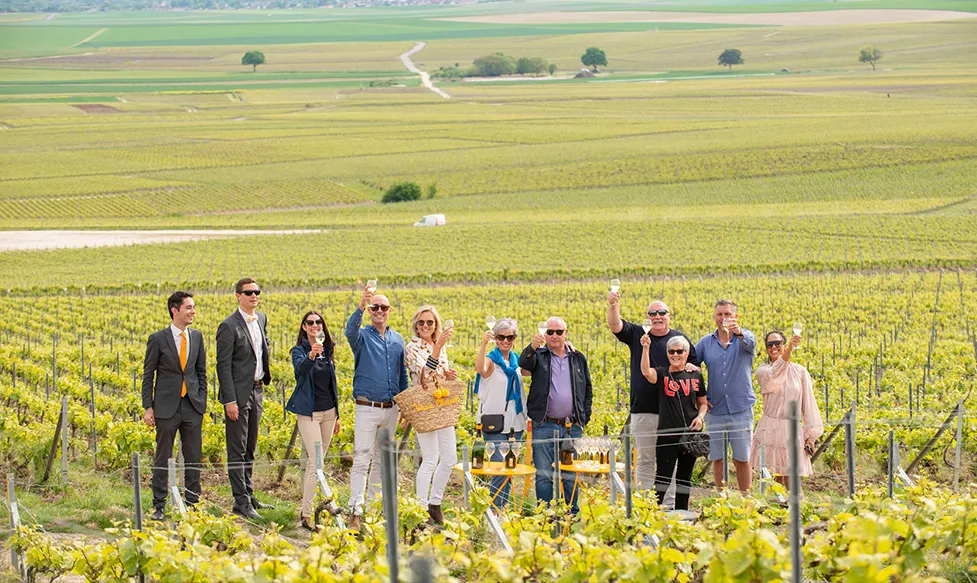 A group of guests amongst the vineyards toast glasses of champagne on an HunterMoss luxury holiday in France