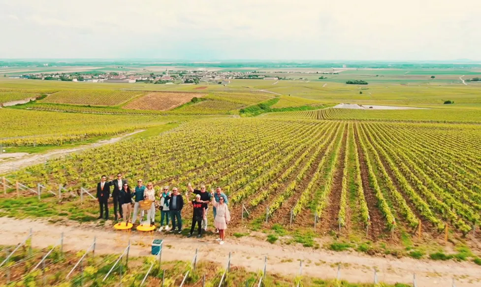 HunterMoss’ guests toast a celebration in front of Champagne vines in France