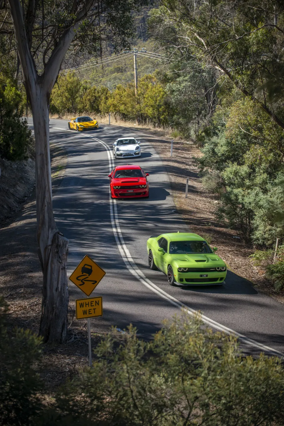 Supercars exploring Tasmanian roads on the HM Targa Tour in Tasmania
